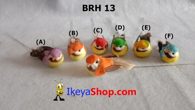 large2 BRH 13 b